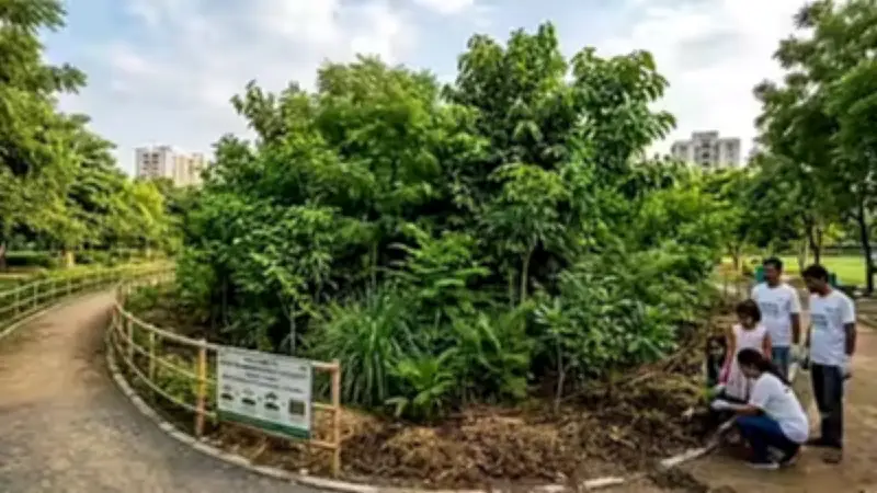 জাপানি মিয়াওয়াকি পদ্ধতি: শহরে ঘন বন সৃষ্টির নতুন দিগন্ত
