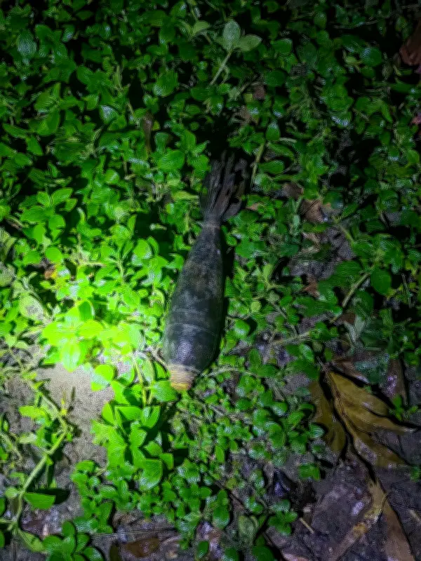 পঞ্চগড়ে নদীতে মর্টার শেল উদ্ধার, পুলিশের হেফাজতে