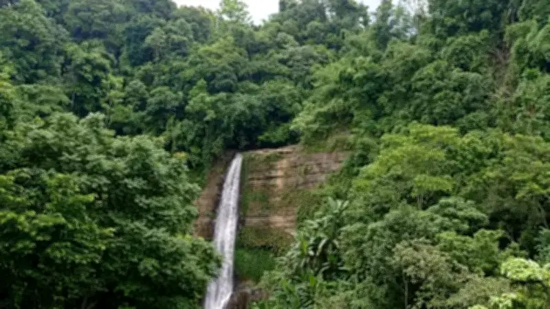 প্রকৃতির নিজস্ব গল্প: সোনালি পাতা থেকে ঝরনা পর্যন্ত