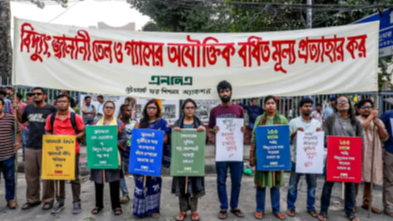 বিদ্যুৎ-জ্বালানি মূল্যবৃদ্ধি প্রত্যাহারে এনপিএ’র মানববন্ধন ও ৮ দফা দাবি