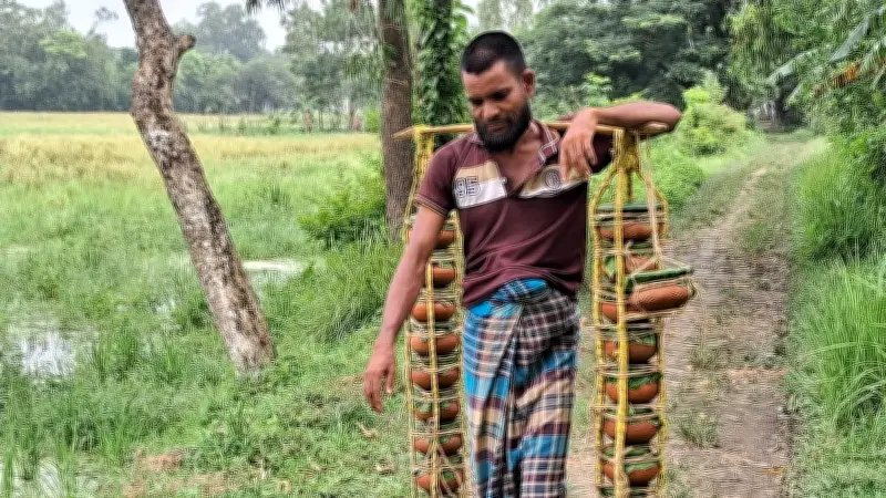 দেশজুড়ে নানা ঘটনার ছবি: শ্বেতপদ্ম থেকে সড়ক দুর্ঘটনা
