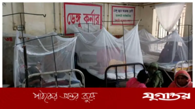 পিরোজপুরে ডেঙ্গু আক্রান্তের সংখ্যা শীর্ষে, একদিনে ২০ জন শনাক্ত