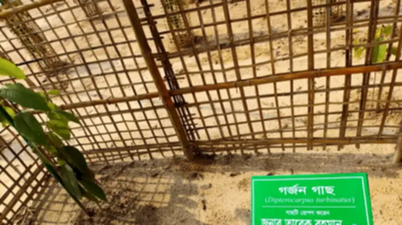 প্রধানমন্ত্রীর রোপণ করা ঝুঁকিপূর্ণ তেলি গর্জন চারার সুরক্ষায় বিশেষ ব্যবস্থা