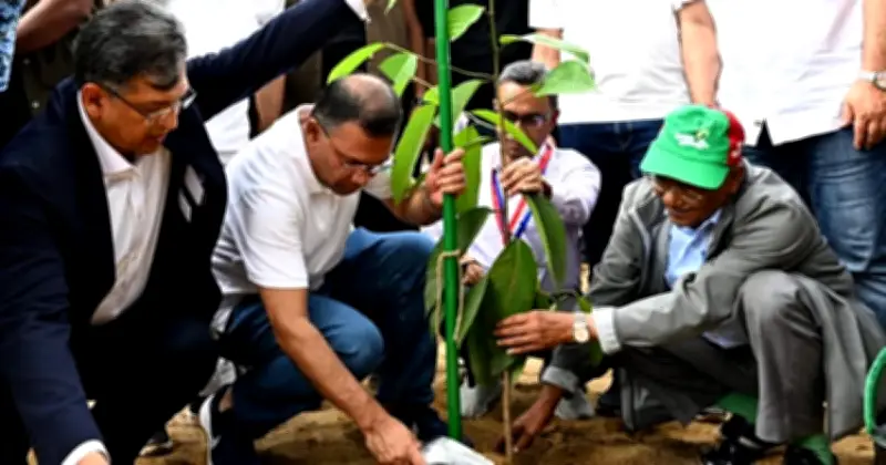 প্রধানমন্ত্রী তারেক রহমানের প্রতি নাগরিকদের অন্তত একটি করে গাছ লাগানোর আহ্বান