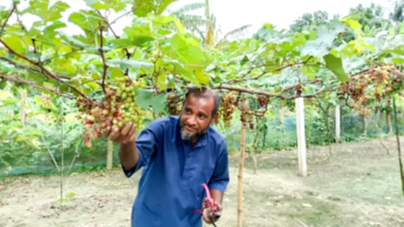 মেঘনায় আইনশৃঙ্খলা স্বাভাবিক রাখতে পুলিশ টহল, ডেঙ্গুতে একজনের মৃত্যু