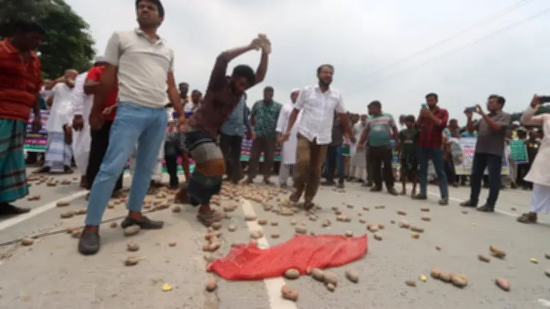হিমাগার ভাড়া বাড়ানোর প্রতিবাদে রংপুরে সড়কে আলু ঢেলে প্রতিবাদ