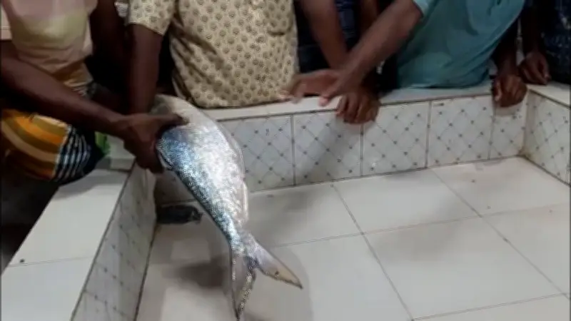 ফেসবুকে ছড়ালো রাষ্ট্রপতির ভিডিও বার্তা, প্রশাসনের নিষেধাজ্ঞা উপেক্ষা