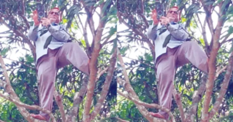 নেটওয়ার্ক না থাকায় গাছে উঠে অনলাইনে হাজিরা দিলেন শিক্ষক