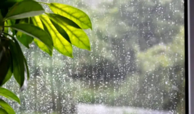 দেশজুড়ে বৃষ্টির সম্ভাবনা, ৫ দিনের পূর্বাভাস দিল আবহাওয়া অফিস