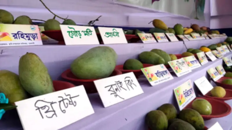 রাজশাহীতে ৬৭ জাতের আম নিয়ে তিন দিনব্যাপী মেলা শুরু