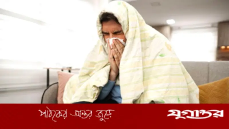 বর্ষায় ডেঙ্গু-জন্ডিসের প্রকোপ: কারণ ও প্রতিরোধের উপায়