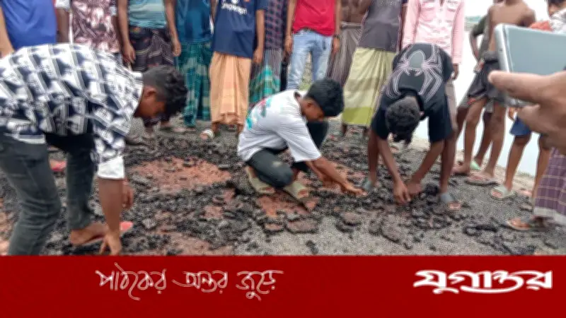 হাত দিয়ে টানলেই উঠে আসছে সড়কের পিচঢালাই, কয়রায় অনিয়মের অভিযোগ