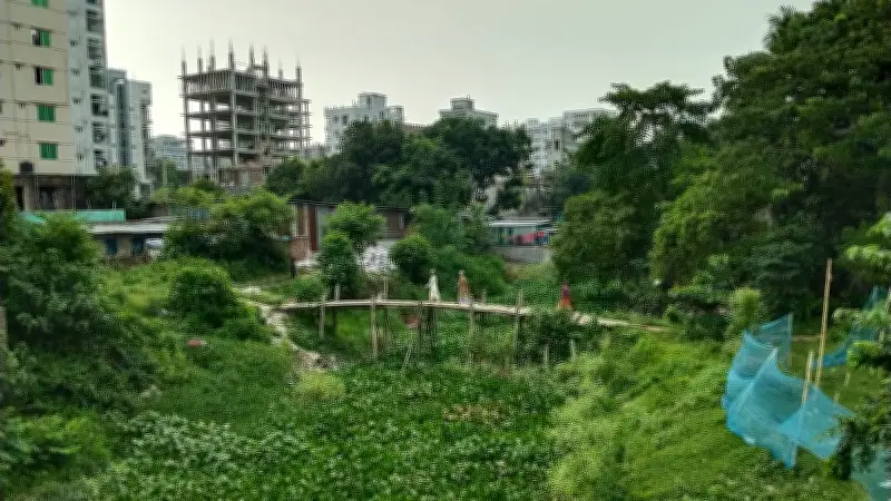দড়িটানা নৌকা থেকে ছাদবাগান: বাংলার নানা রূপ ক্যামেরায় বন্দী