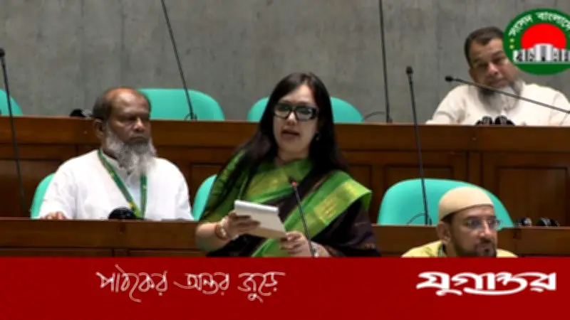 সামষ্টিক অর্থনৈতিক চাপে বাজেট বাস্তবায়ন নিয়ে প্রশ্ন রুমিন ফারহানার