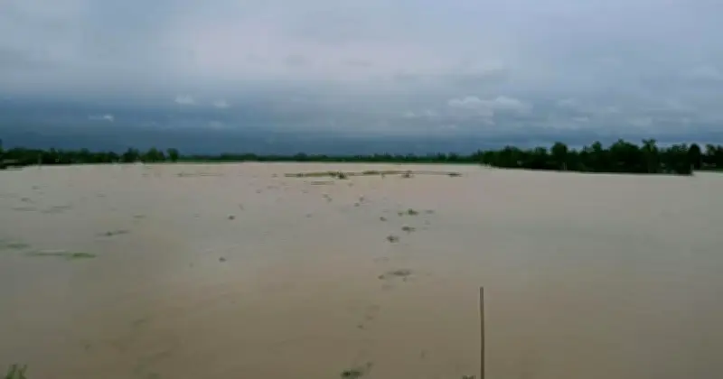 কুড়িগ্রামে স্বল্পমেয়াদি বন্যার আশঙ্কা, নদীর পানি বাড়ছে