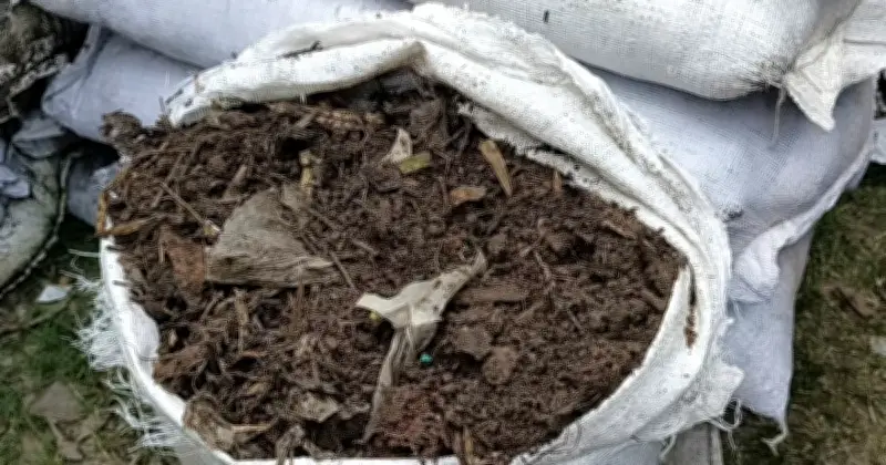 পলিথিন মেশানো ভেজাল সার বিতরণ: সিরাজগঞ্জে তদন্ত কমিটি