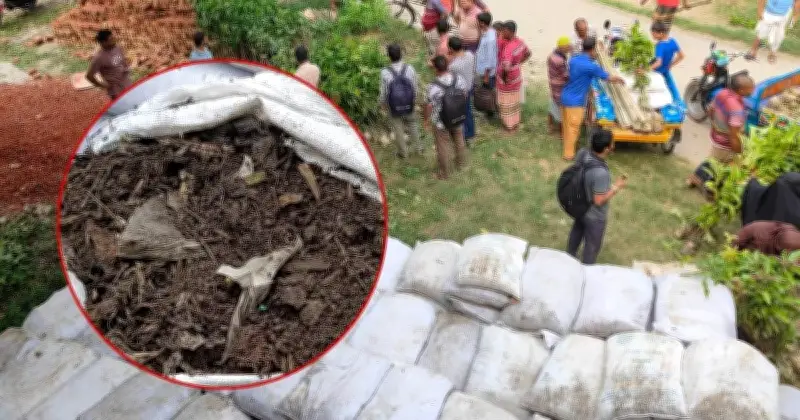 সিরাজগঞ্জে ভেজাল সার বিতরণ: তদন্ত কমিটি গঠন