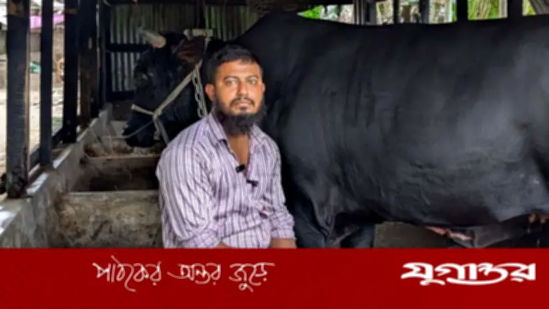 খালেদা জিয়াকে ‘কালো মানিক’ উপহার দিতে চাওয়া সোহাগ গ্রেফতার