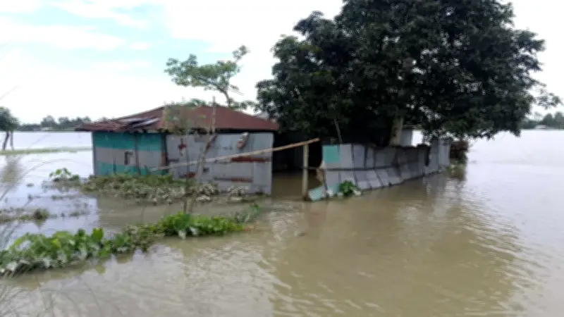 প্রাথমিক স্তরে খেলাধুলা বাধ্যতামূলক, ডিপিইর নতুন প্রজ্ঞাপন জারি