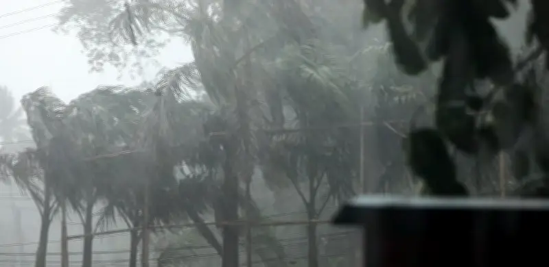 দেশের ১৫ এলাকায় ঝড়বৃষ্টির পূর্বাভাস, নদীবন্দরে ১ নম্বর সংকেত