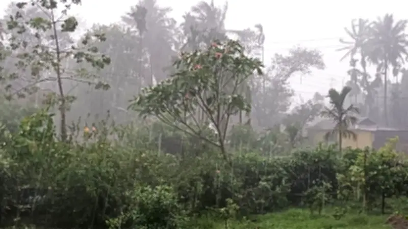 দুপুরের মধ্যে ৯ জেলায় ঝড়-বৃষ্টির সতর্কতা, ব্রাজিলের জয়, হাকিমির বিচার