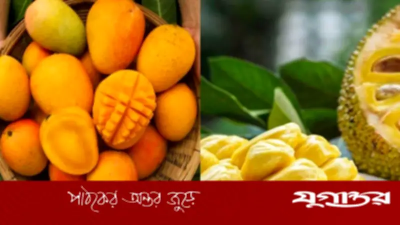 টাঙ্গাইলে একজনের দাওয়াতে ১০০ অতিথির আগমন, ব্যতিক্রমী আপ্যায়ন