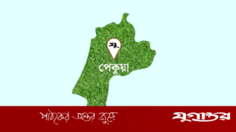পেকুয়ায় চুরির উপদ্রব বেড়েছে, স্থানীয়রা আতঙ্কিত