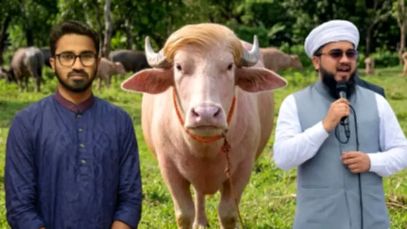 হাম উপসর্গ নিয়ে আরো ৩ শিশুর মৃত্যু; বজ্রবৃষ্টির শঙ্কা