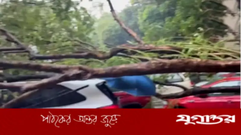 পশ্চিমবঙ্গে ঝড়-বজ্রপাতে ১৩ জনের মৃত্যু, কলকাতা লণ্ডভণ্ড