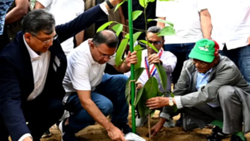 দেশজুড়ে শিক্ষাপ্রতিষ্ঠানে বৃক্ষরোপণ কর্মসূচির উদ্বোধন আজ