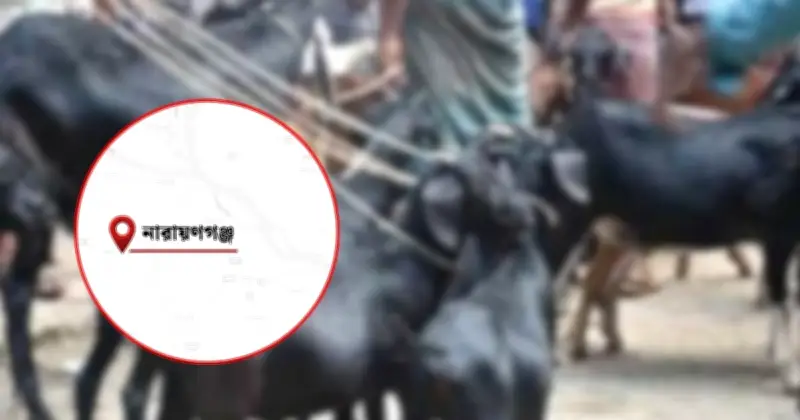 ছাগল হত্যার অভিযোগে নারায়ণগঞ্জে দুই ব্যবসায়ী গ্রেপ্তার