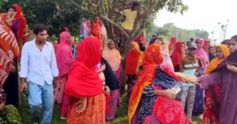 পদ্মা ও মহানন্দা নদীতে গোসল ও মাছ ধরতে গিয়ে দুই শিক্ষার্থীর মৃত্যু, এক নিখোঁজ