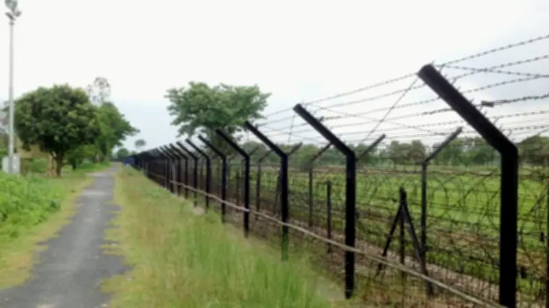 গোমস্তাপুরে নারী পুশ-ইন চেষ্টা, বিজিবির প্রতিহত