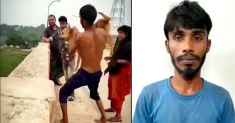 কুকুরের গলায় ইট বেঁধে নদীতে ফেলার অভিযোগে যুবক আটক