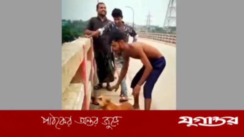 নরসিংদীতে কুকুরের গলায় ইট বেঁধে নদীতে নিক্ষেপ, যুবক আটক