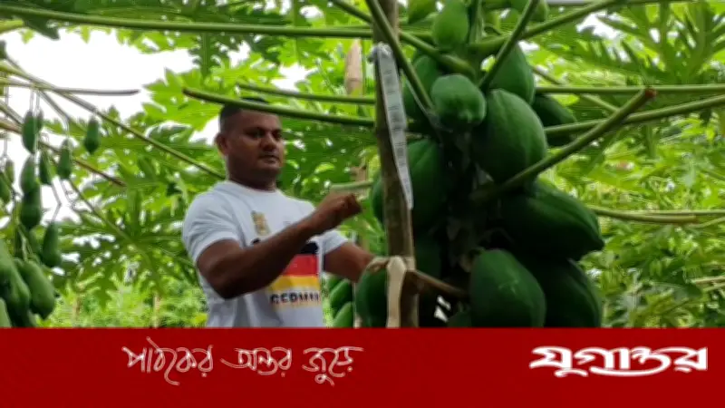 ইউটিউব দেখে সমন্বিত চাষে সফল সুমন, বার্ষিক আয় ১৫ লাখ টাকা