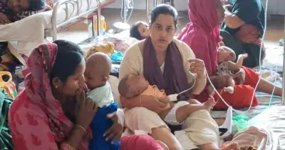 হামে মৃত শিশুদের ৯২% টিকা পায়নি: ডব্লিউএইচও সভায় তথ্য