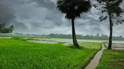 দুপুরের মধ্যে ১৫ অঞ্চলে ঝড়ের শঙ্কা: আবহাওয়ার সতর্কতা
