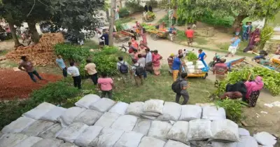 সিরাজগঞ্জে বৃক্ষরোপণ কর্মসূচিতে জৈব সারের পরিবর্তে আবর্জনা বিতরণের অভিযোগ