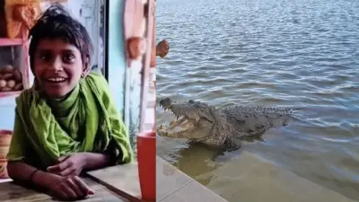 কুমির টেনে নিল শিশু, খানজাহান আলী দিঘিতে মর্মান্তিক ঘটনা