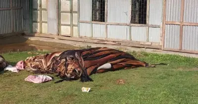 কাঁচা চামড়ার বাজারে ধস: অস্তিত্ব সংকটে শিল্প