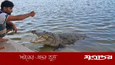 বাগেরহাট মাজারের দিঘিতে কুমিরের হামলায় শিশু ফাতেমার মৃত্যু