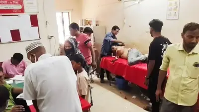 আম পাড়া নিয়ে সংঘর্ষে ১২ জন আহত, ঝালকাঠি ছাত্রলীগ সভাপতি গ্রেপ্তার