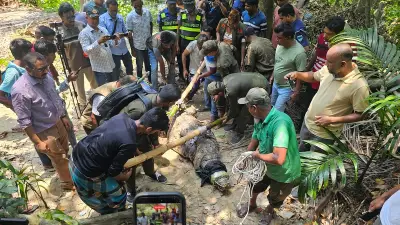 খানজাহান আলীর মাজার দিঘির কুমির সরানো হয়েছে নিরাপত্তার স্বার্থে