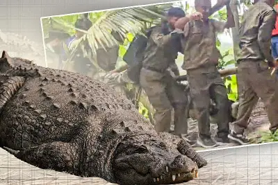 প্রথম আলোর ভিডিওতে বাংলাদেশের বিশেষ প্রতিবেদন