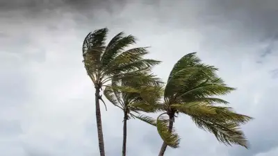 ৯ অঞ্চলে বৃষ্টি-বজ্রপাতের পূর্বাভাস, নদীবন্দরে সতর্ক সংকেত