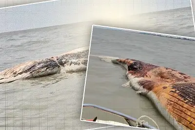 বাংলাদেশের নতুন শিক্ষানীতি অনুমোদন