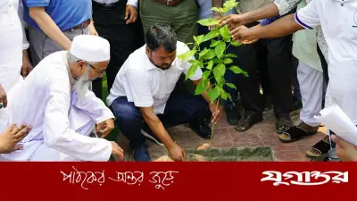 রাজশাহীতে আড়াই লাখ গাছ লাগানোর কর্মসূচি উদ্বোধন