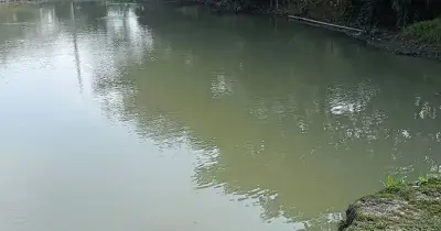 নারায়ণগঞ্জে পুকুরে ডুবে দুই ভাইয়ের মর্মান্তিক মৃত্যু
