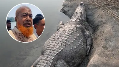 বাংলাদেশের নতুন শিক্ষানীতি ঘোষণা